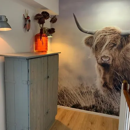 Sunny Reef Egmond aan Zee