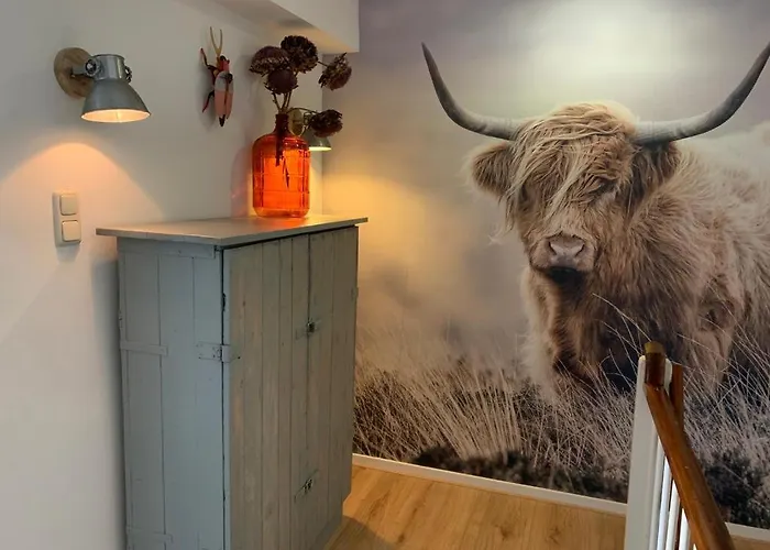 Sunny Reef Egmond aan Zee