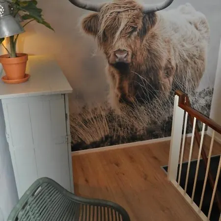 Sunny Reef * Egmond aan Zee