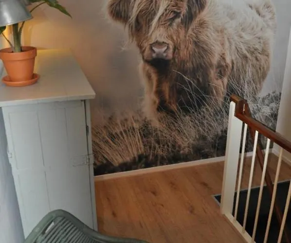 Sunny Reef * Эгмонд-ан-Зее